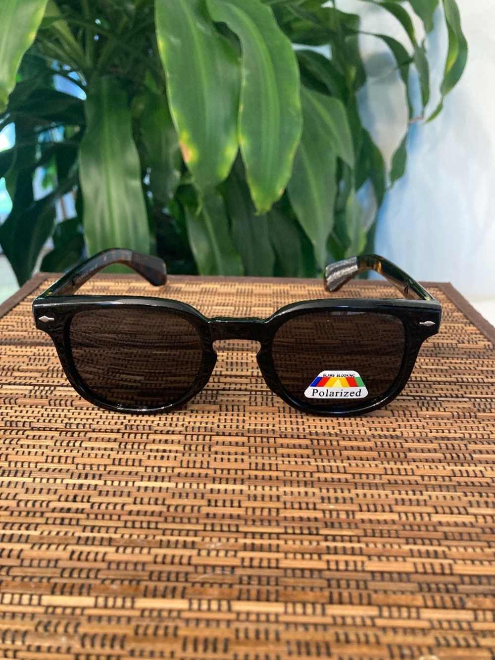 Acetate Frame Polarized Black With Brown Arms Sunglasses (P2746POL/SD)